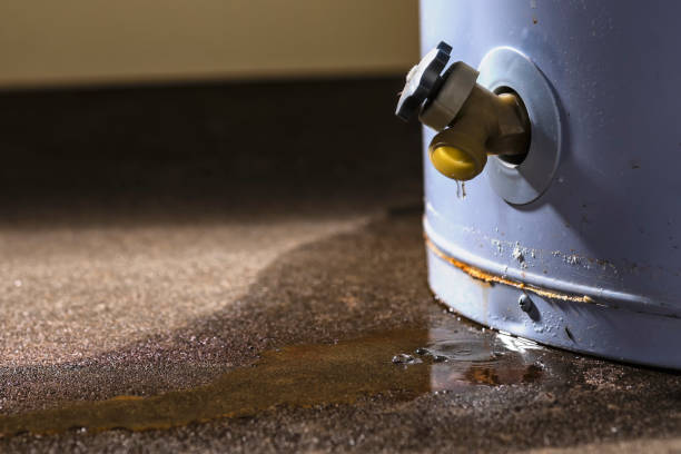 Best Sewage cleanup and water damage restoration  in Abita Springs, LA