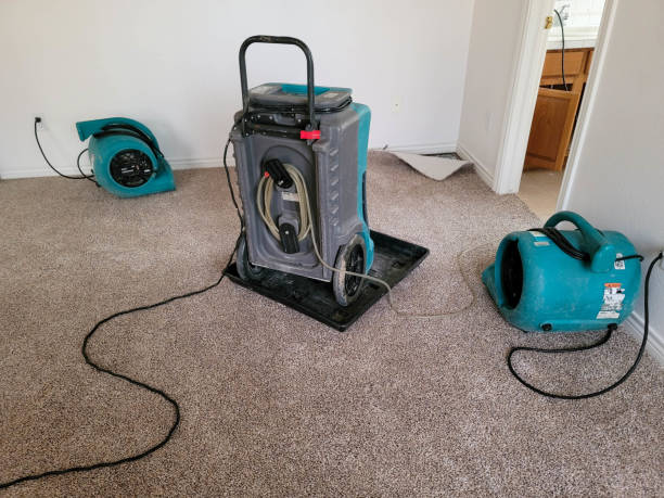 Best Water damage restoration near me  in Abita Springs, LA