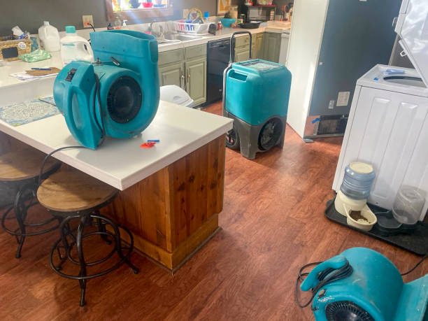Water damage restoration insurance claims in Abita Springs, LA