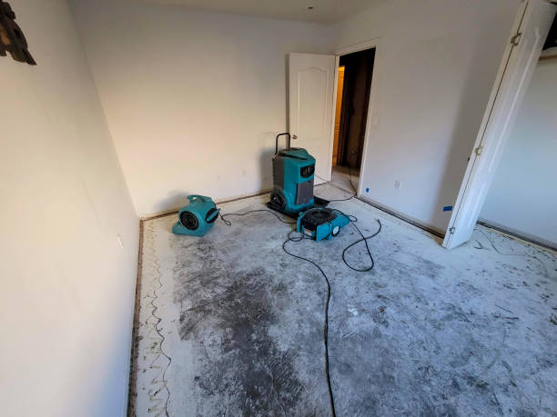 Best Fire Damage Restoration  in Abita Springs, LA