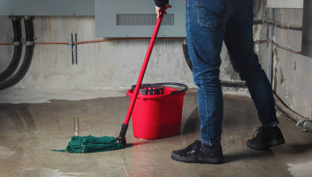 Best Residential water damage restoration  in Abita Springs, LA