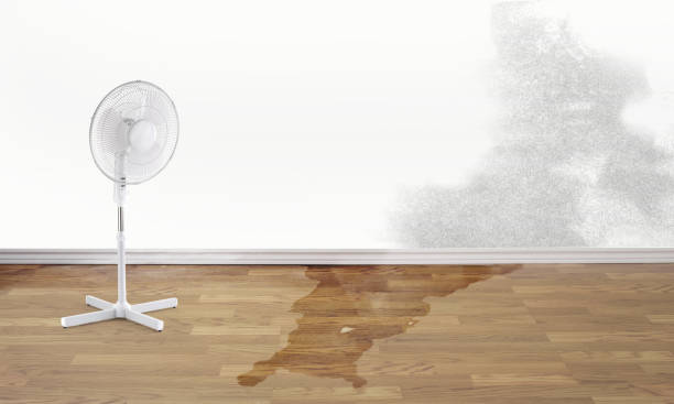Best Flood restoration services  in Abita Springs, LA