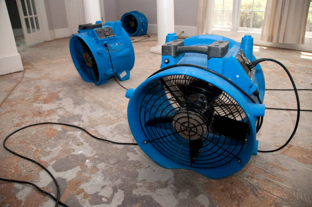 Best Local water damage restoration  in Abita Springs, LA