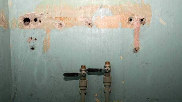 Best Mold removal after water damage  in Abita Springs, LA