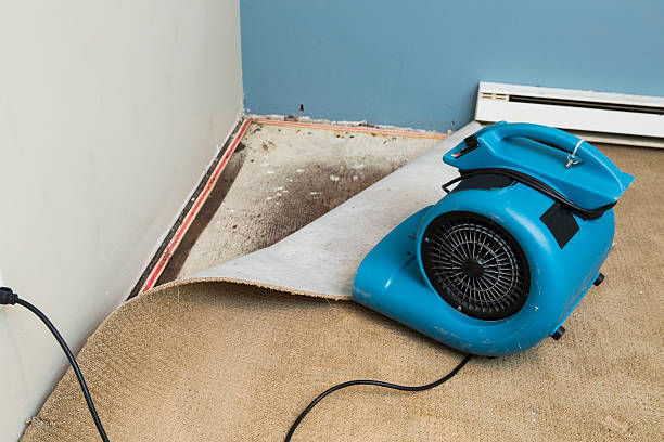 Best Carpet water damage restoration  in Abita Springs, LA